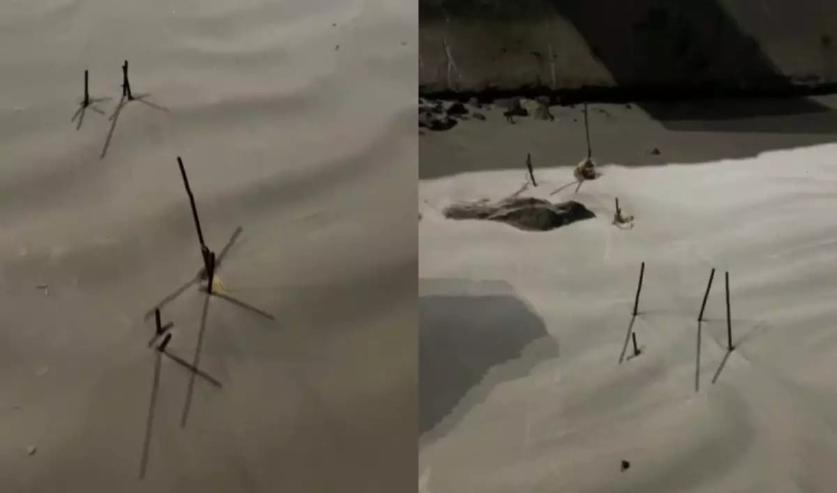 A administração explicou que as estruturas seriam usadas na construção de uma rampa para embarcações, projeto que acabou cancelado devido à erosão da praia