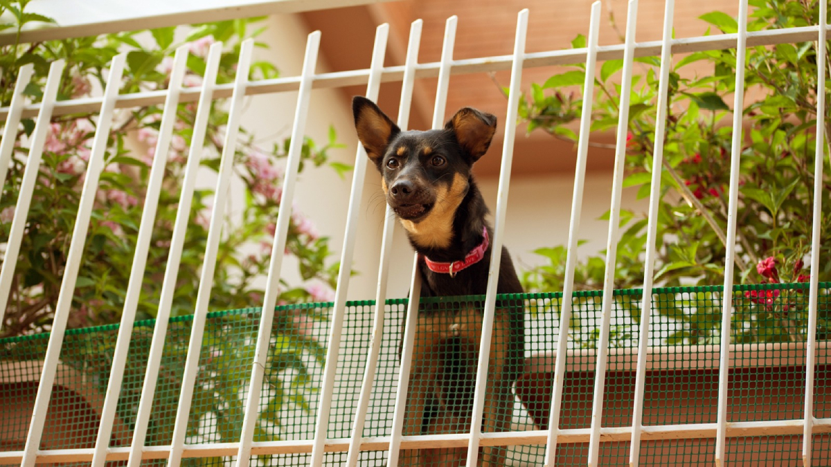 A medida alinha o município ao entendimento do Superior Tribunal de Justiça