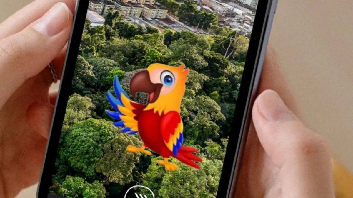 A ferramenta foi projetada para atender diferentes perfis de público, de curiosos a organizações e empresas