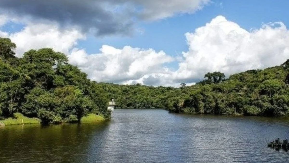 O estado de São Paulo está prestes a dar vida ao Parque Estadual do Morro Grande