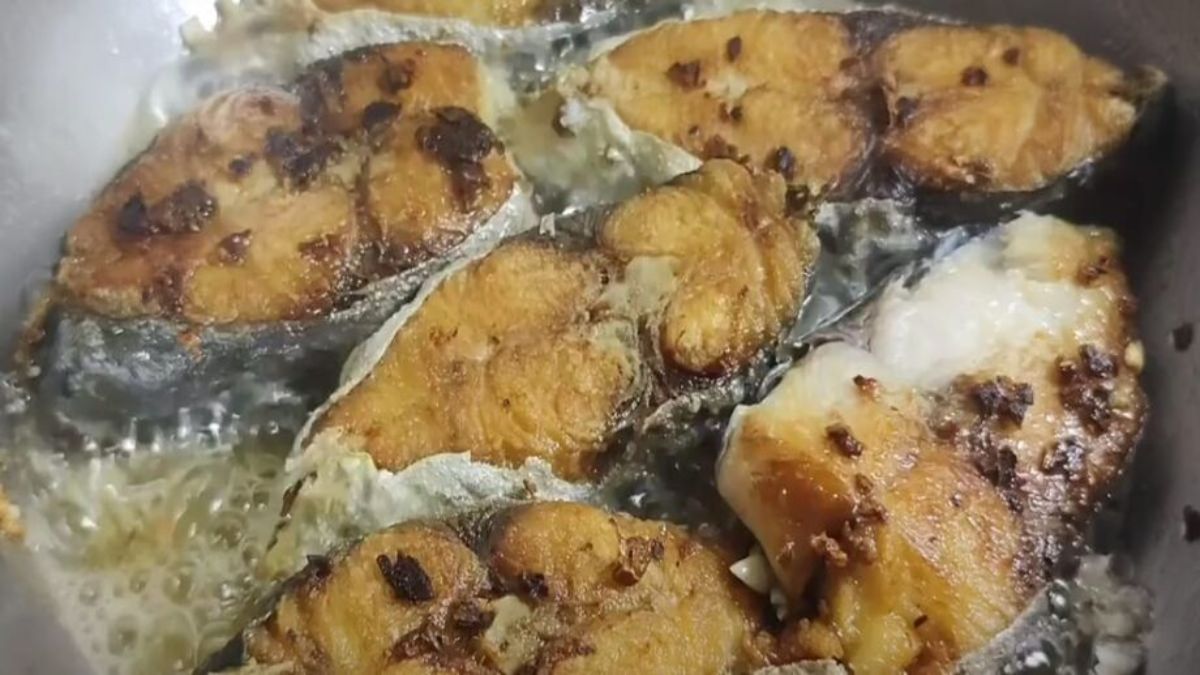 Esse tipo de peixe não é tão famoso entre os brasileiros, mas consegue ser tão saboroso quanto o Salmão e Cação