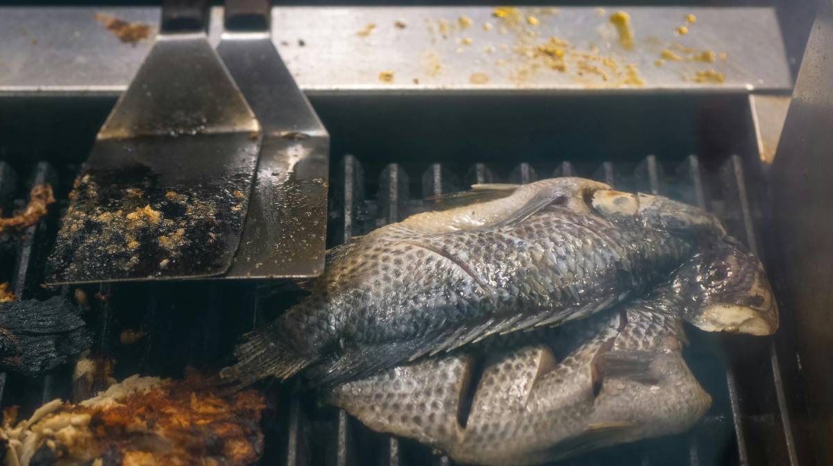 De um lado, especialistas pedem atenção ao problema e defendem que medidas de controle sejam avaliadas