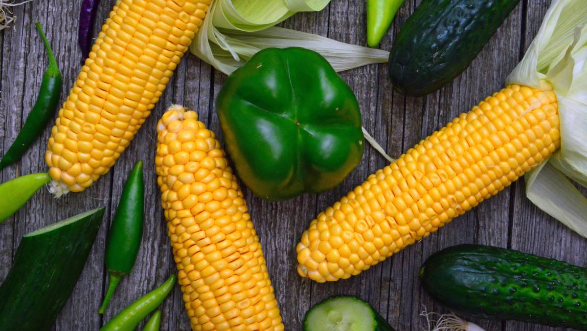 O estudo mostra que mesmo escolhas cotidianas e aparentemente inofensivas carregam uma pegada ambiental significativa, revelando a importância de entender como nossos hábitos alimentares influenciam o clima e o meio ambiente.