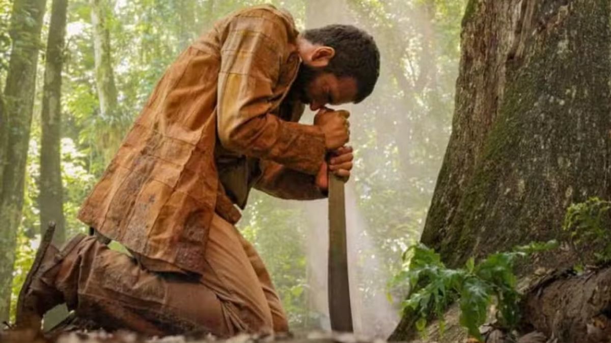 O jequitibá é apresentado na novela como a árvore-símbolo da ligação entre José Inocêncio e a própria terra