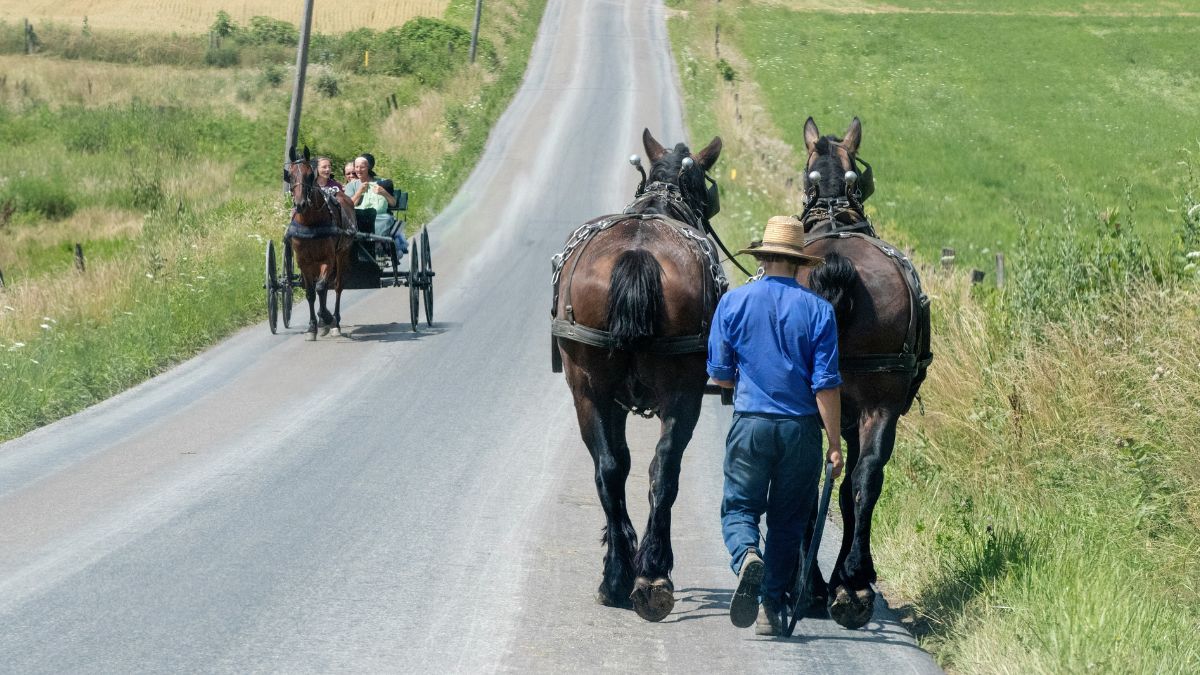O planejamento das ações de bloqueio levou em consideração o histórico de acidentes na Baixada