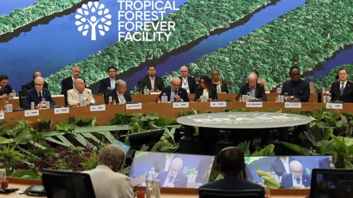 A ideia é que o TFFF pague os países que conseguirem manter suas florestas tropicais intactas