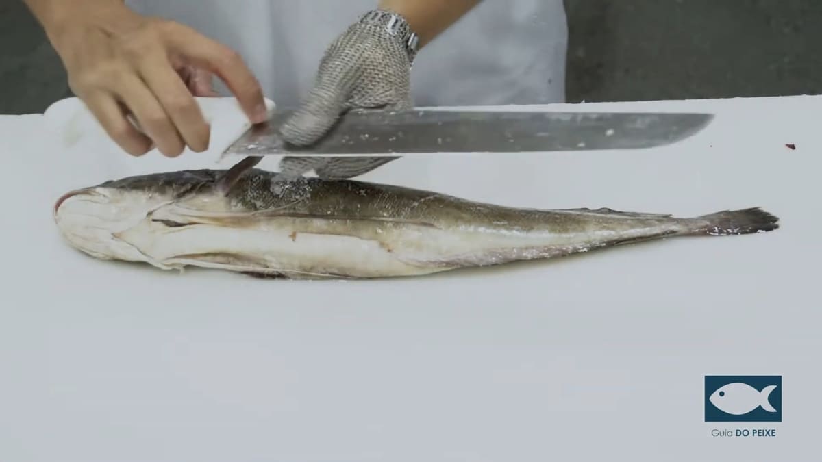 Esse peixe nacional é extremamente saboroso