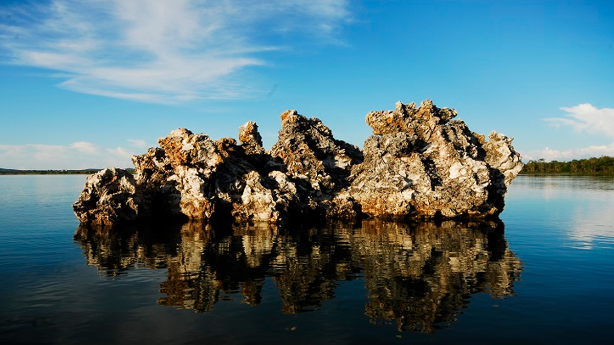 A Ilha do Bananal, localizada entre os estados de Tocantins e Mato Grosso, é um dos maiores tesouros naturais do Brasil.