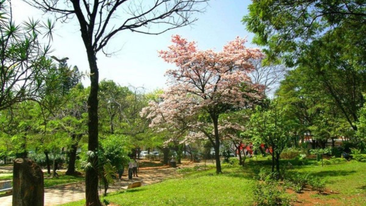 Jardim Botânico e Zoológico reforçam o compromisso da cidade com conservação e educação ambiental