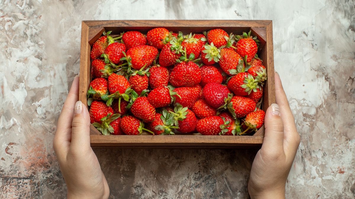 Lavar os morangos com solução de bicarbonato é a forma mais eficaz de eliminar pesticidas da superfície da fruta