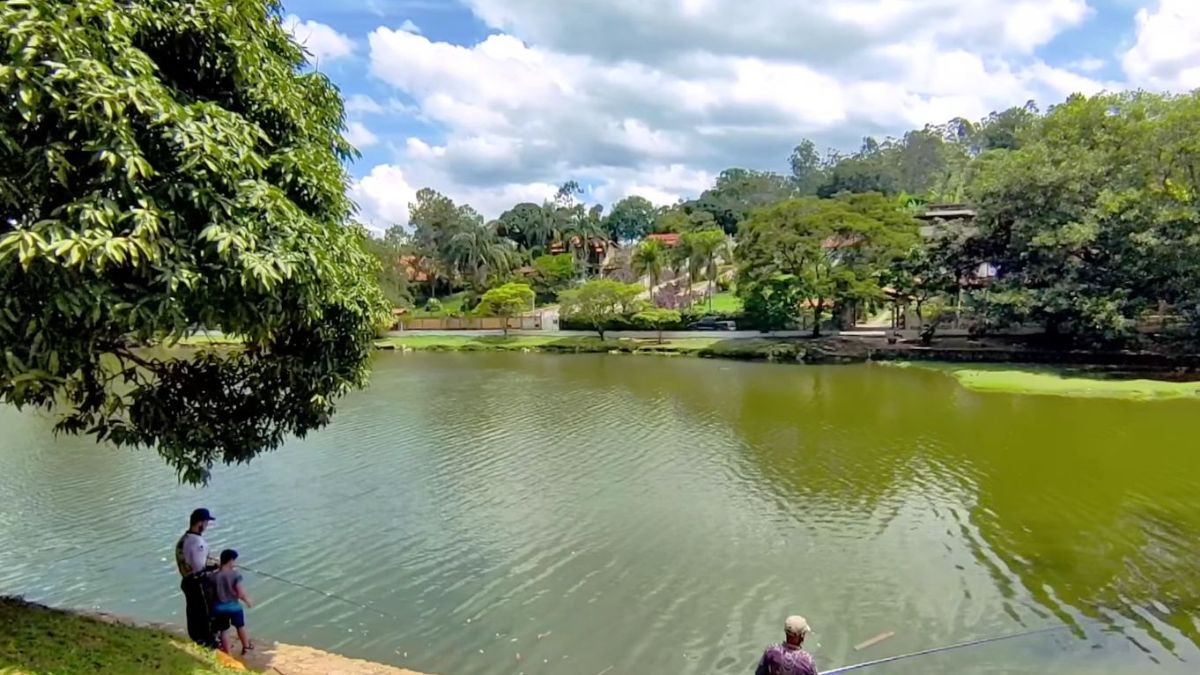 Miguel Pereira não é apenas um refúgio de tranquilidade; a cidade detém o título oficial de um dos melhores climas do mundo