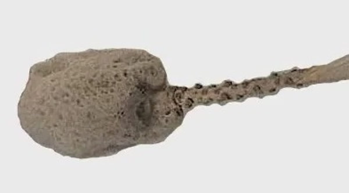 O caso mais emblemático é o da Monorhaphis chuni, uma esponja-do-mar peculiar encontrada em regiões como o Mar da China Oriental e áreas próximas à Antártida