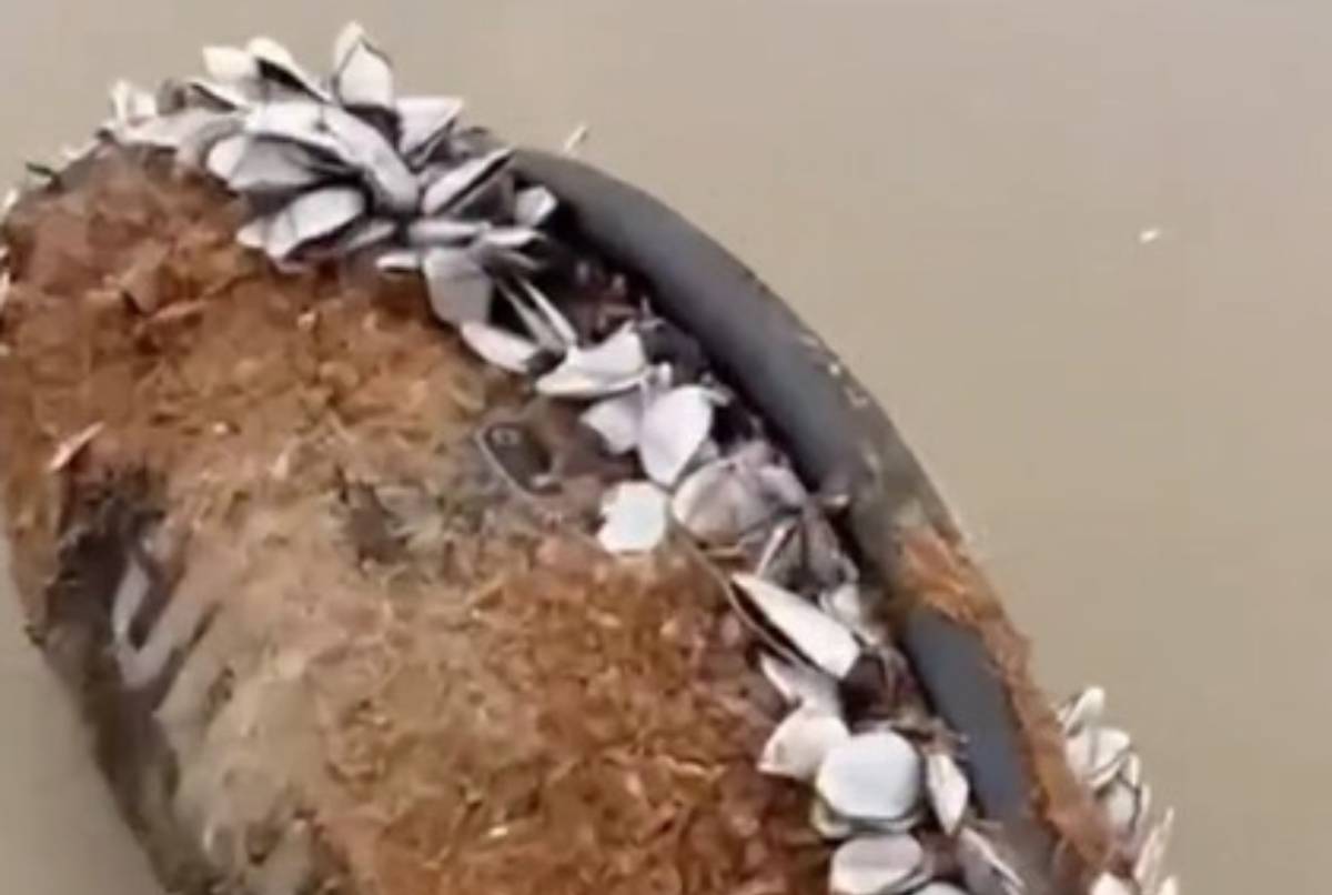 Resultado surpreendeu a todos