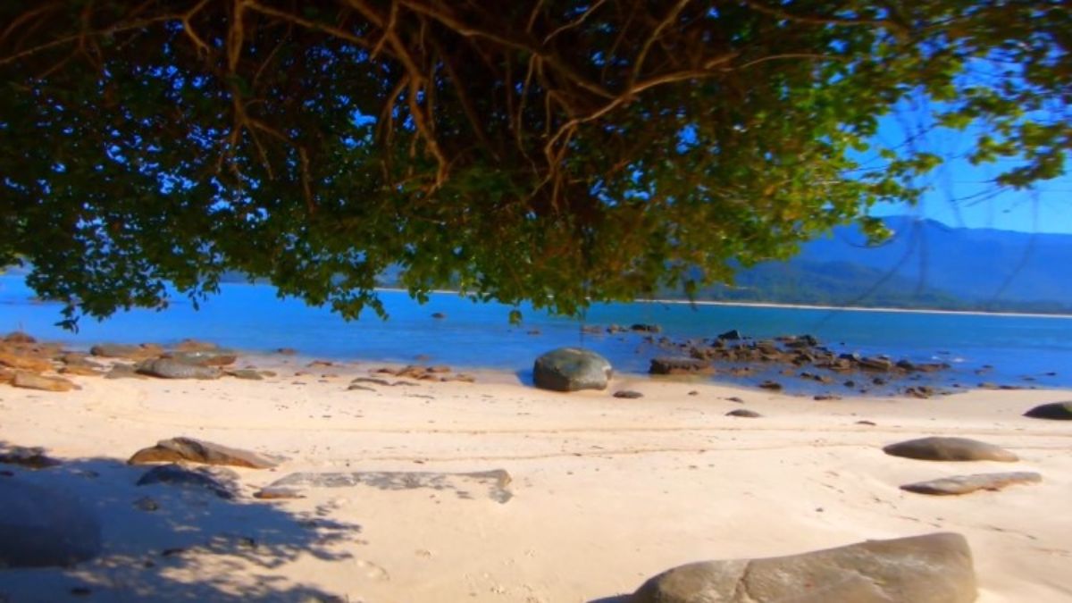 Três praias em uma única ilha: veja por que este local é perfeito para natação e observação da vida marinha