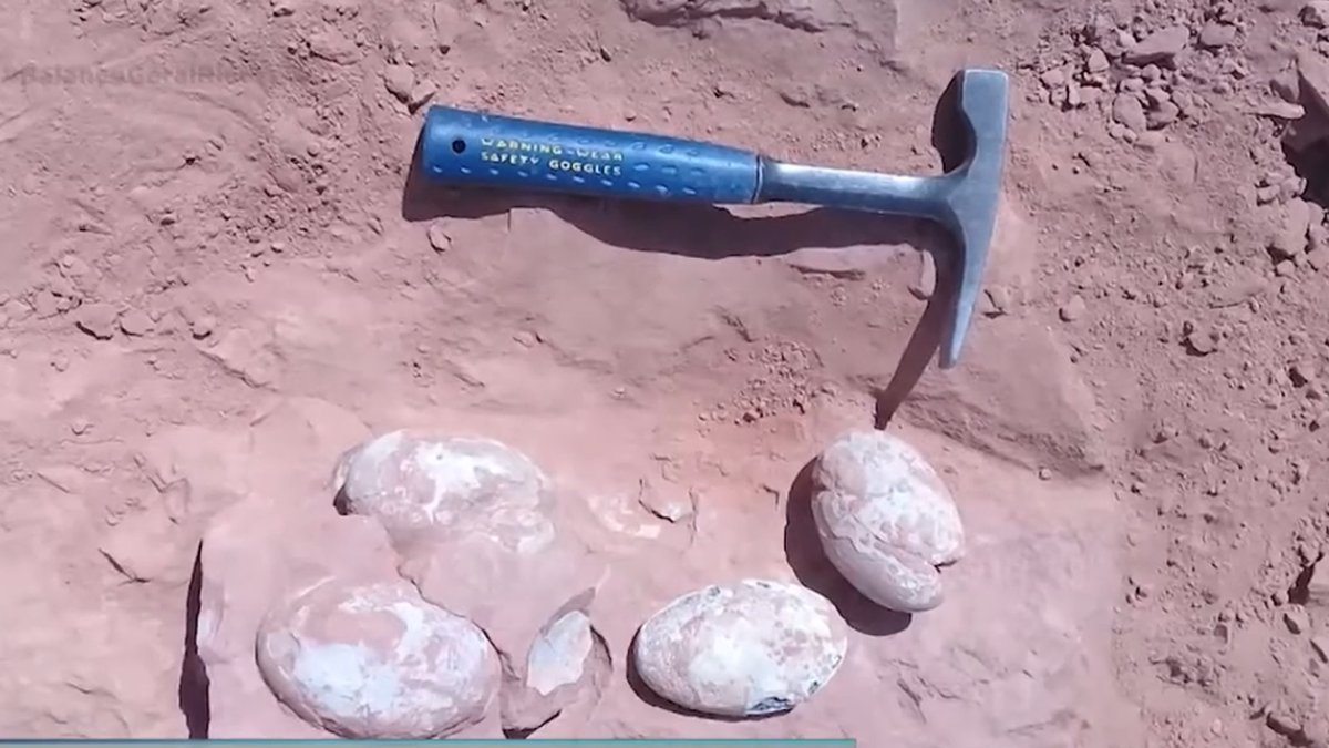 Descoberta pode mudar o entendimento sobre dinossauros europeus