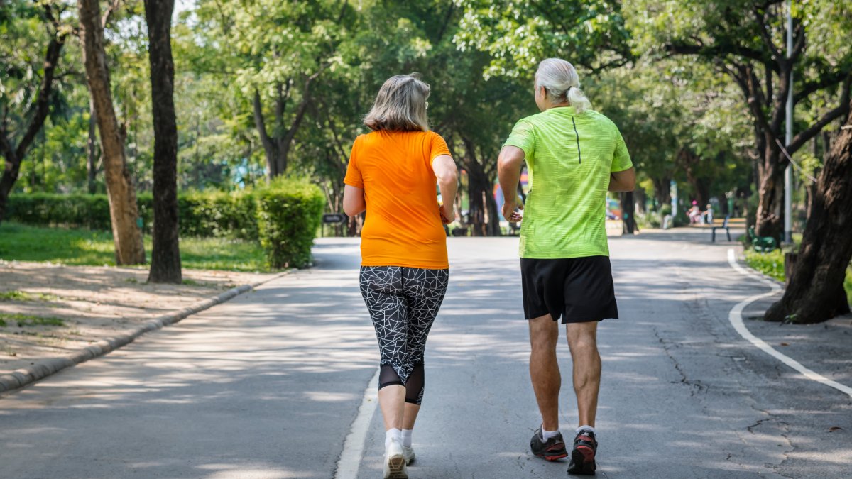 Exercícios leves e treinamentos com peso podem ser mais efetivos na saúde dos idosos