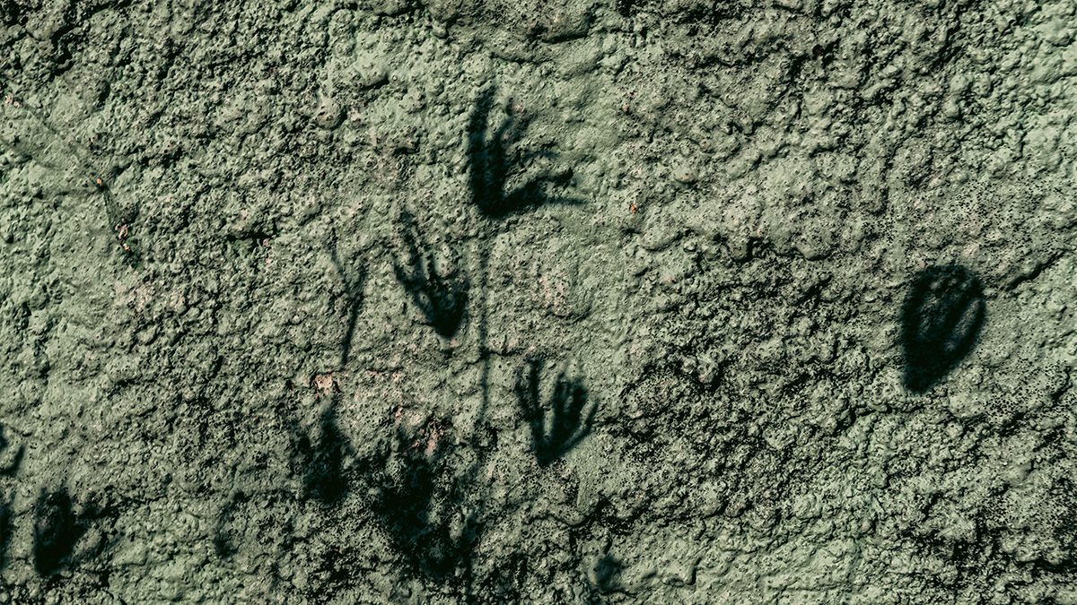 A Bolívia ganhou destaque no cenário científico internacional após a confirmação da maior concentração de pegadas de dinossauros já registrada no mundo