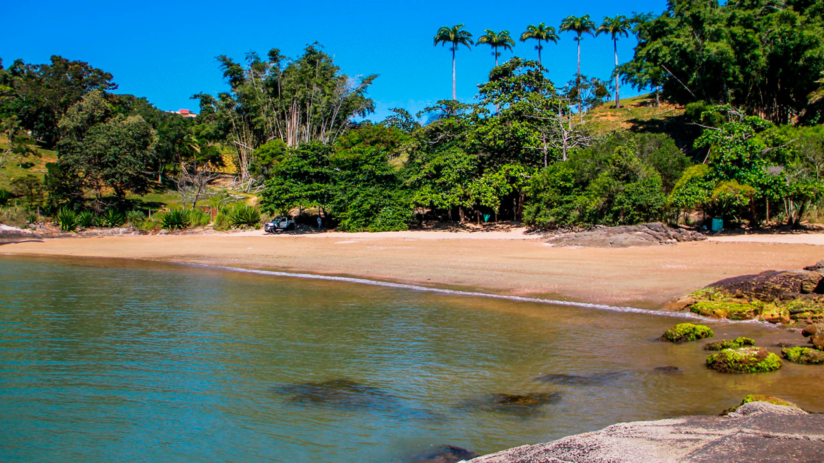 A promoção do tradicional "palito premiado", famosa nos anos 1990 por garantir ao consumidor um novo picolé ao encontrar o palito sorteado, está oficialmente de volta ao Espírito Santo.