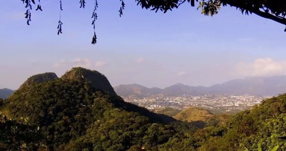 Mesmo cercada por avenidas, comunidades e condomínios, a Pedra Branca abriga uma biodiversidade impressionante