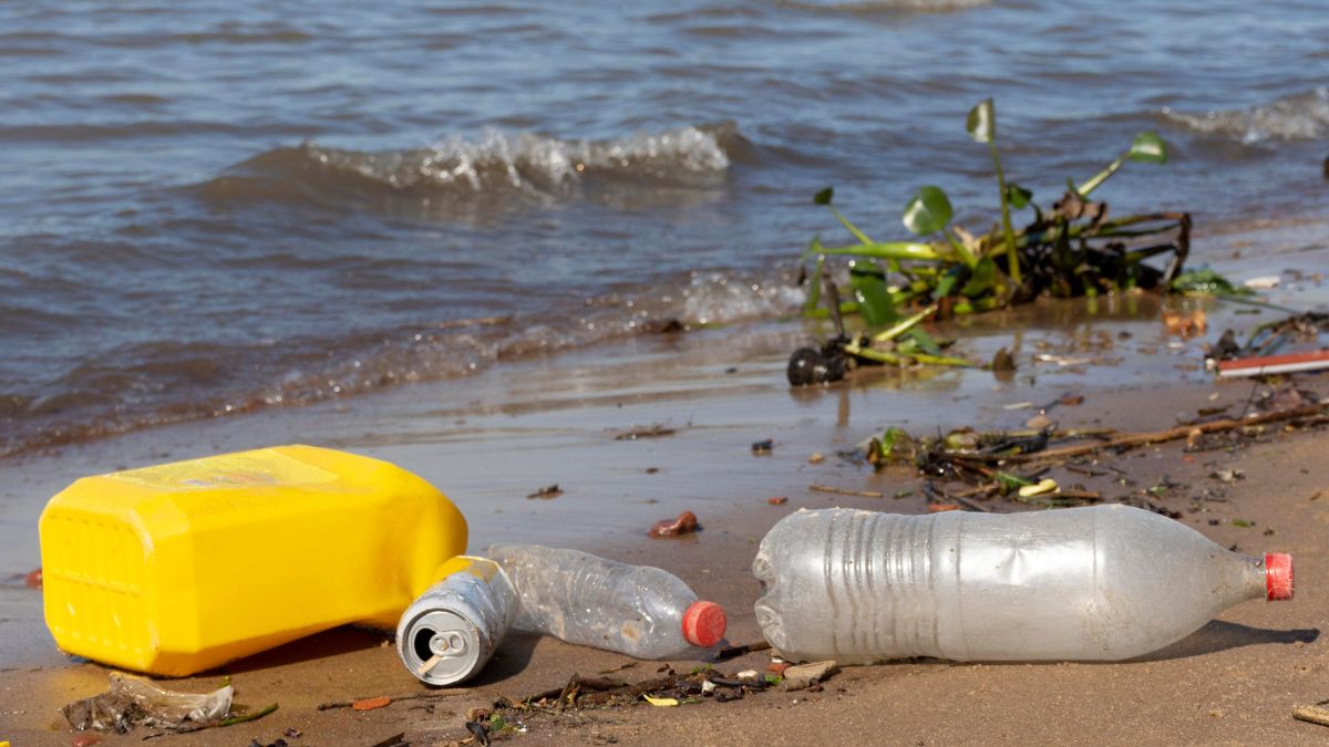 Projeto de Lei 582/2025 propõe política estadual para conservação e uso sustentável dos ecossistemas marinhos.