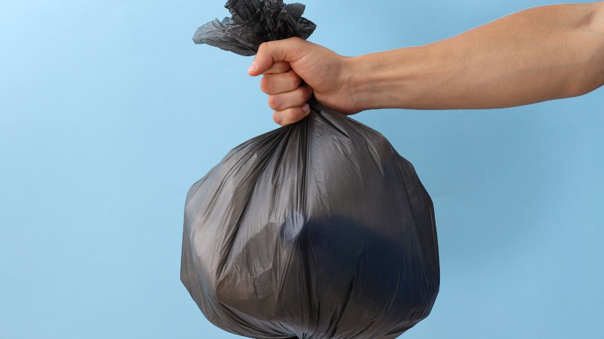 Bolsas compostáveis e novos hábitos viram tendência nas casas modernas