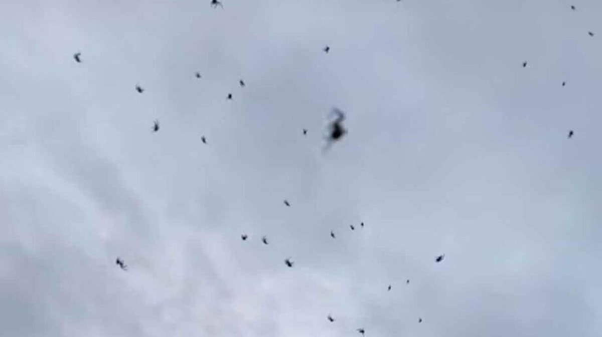 Situração acontece em pequena cidade do interior