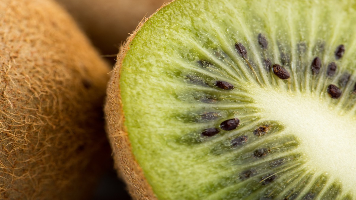 Kiwi reconhecido por autoridades europeias