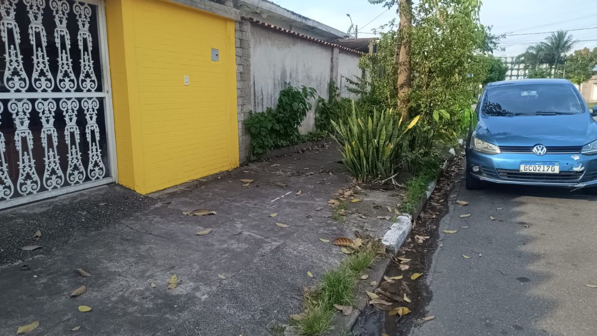 O mato está tão alto que algumas vias praticamente viraram uma floresta