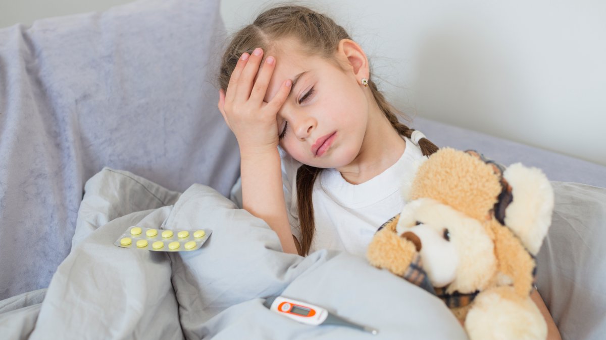 As altas temperaturas e a umidade facilitam a circulação dos vírus e aumentam as chances de contaminação