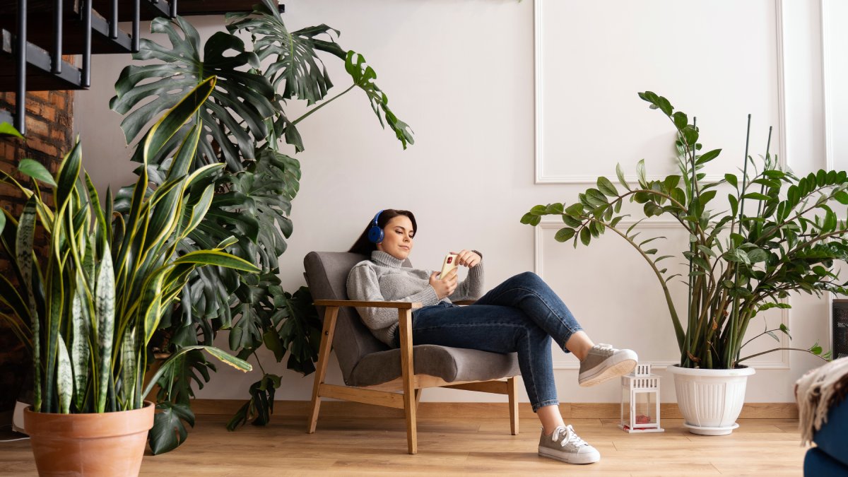 Rituais com plantas reforçam intenções de equilíbrio e abundância