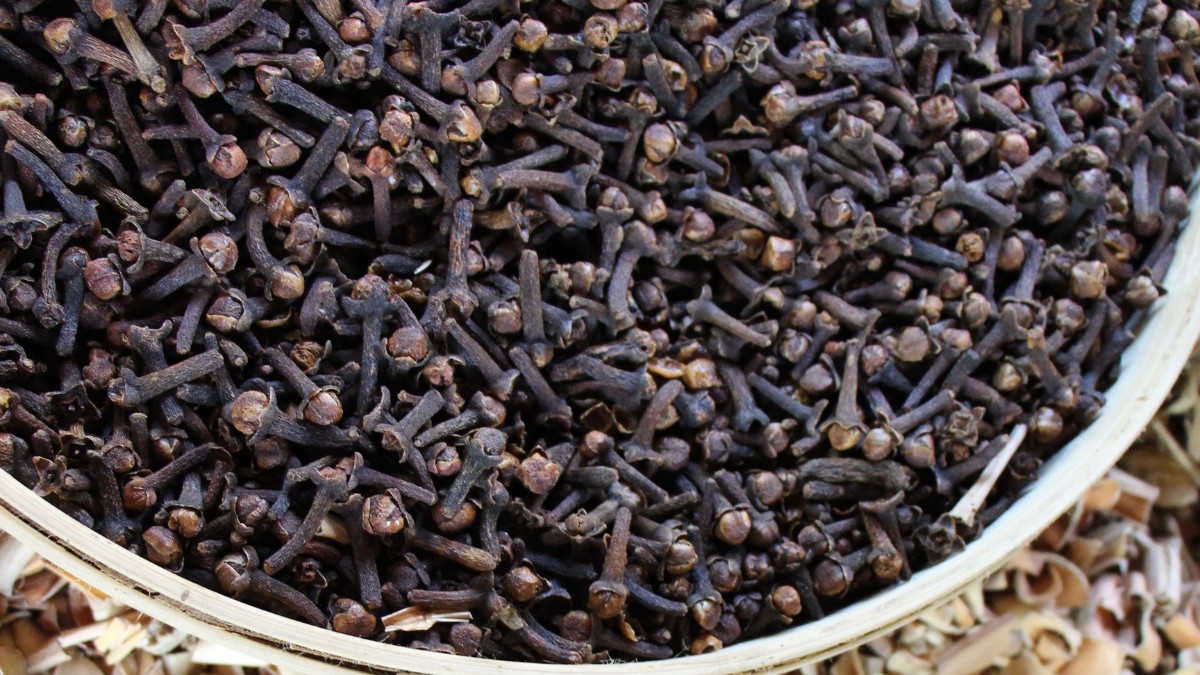 Embora seja amplamente conhecido pelo uso culinário, seu potencial vai muito além da cozinha