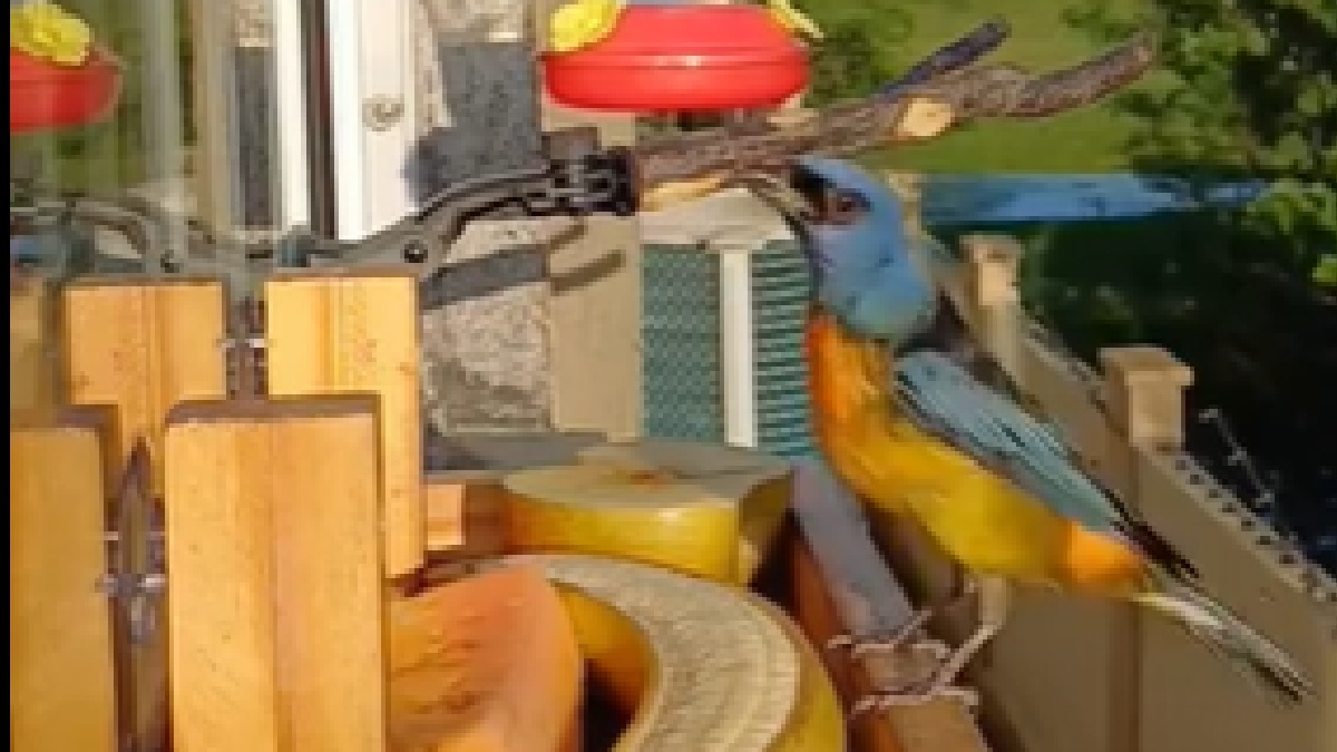 Joélcio Oliveira montou um verdadeiro santuário em seu apartamento