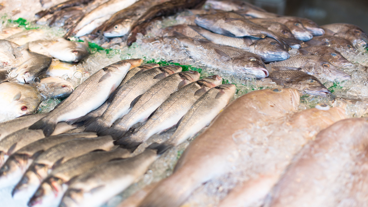 A boa notícia é que opções baratas, versáteis e fáceis de encontrar no mercado brasileiro não faltam.