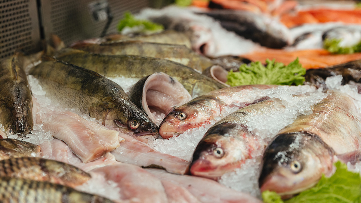 Peixe costuma ser lembrado como aliado da saúde, leve, nutritivo e recomendado por médicos e nutricionistas.