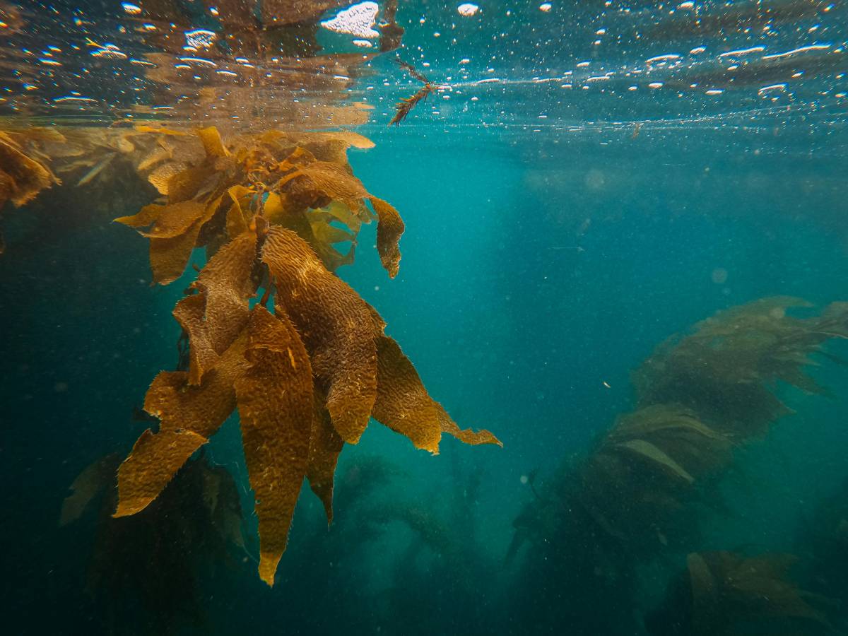 Imagem meramente ilustrativa