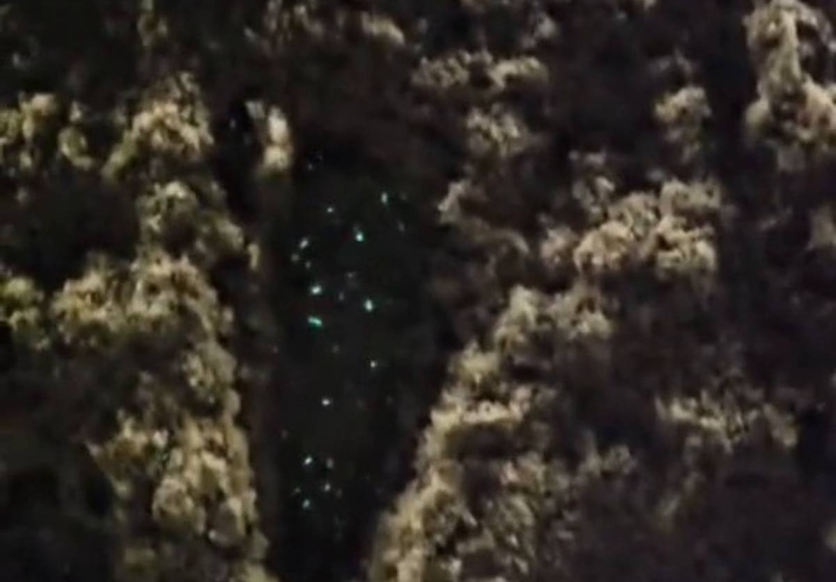 Em suma, o acontecimento não é considerado extremamente raro, mas surpreendeu o grupo de pessoas que caminhava pela praia de São Vicente