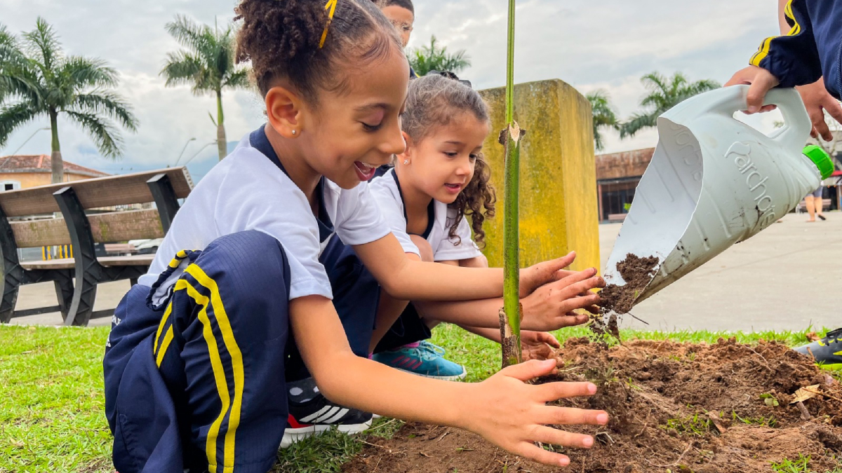 As feiras fazem parte de uma estratégia municipal voltada à ampliação da cobertura vegetal