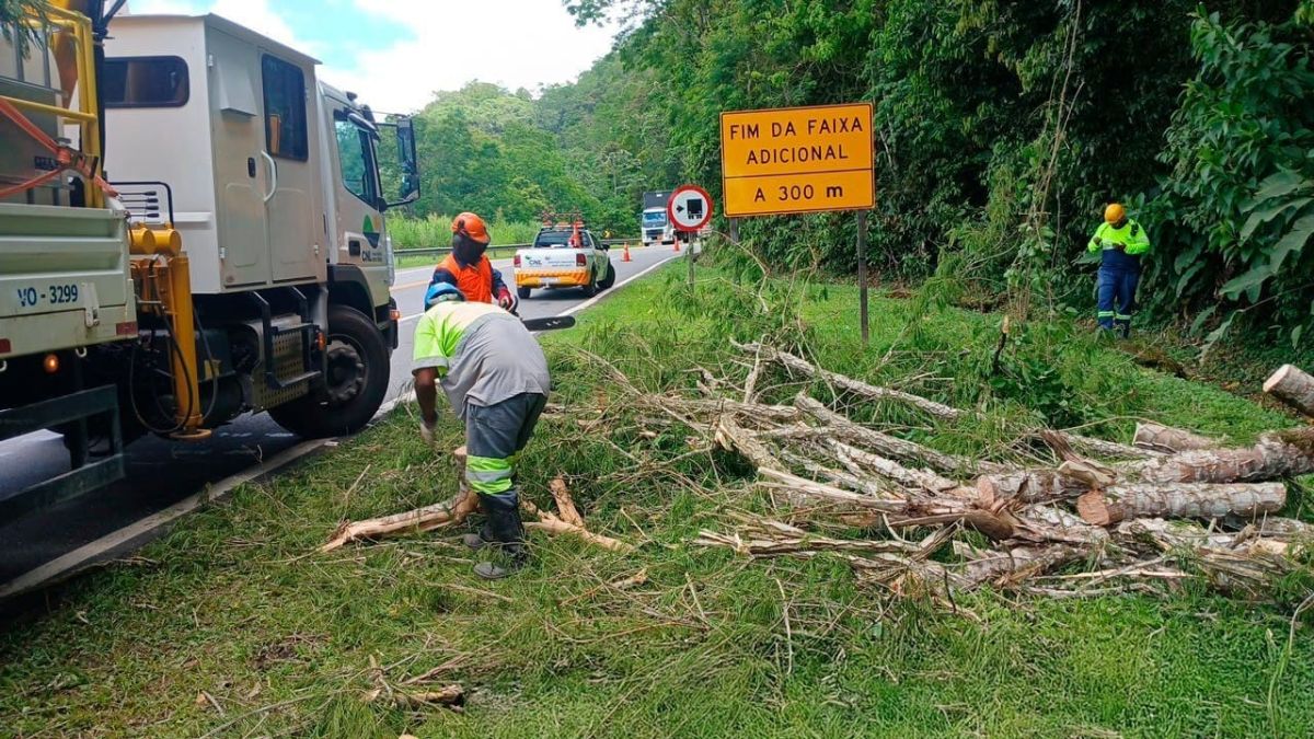 O vento começou ainda na manhã de quarta e permaneceu intenso por mais de 24 horas, chamando a atenção do Instituto Nacional de Meteorologia (Inmet)