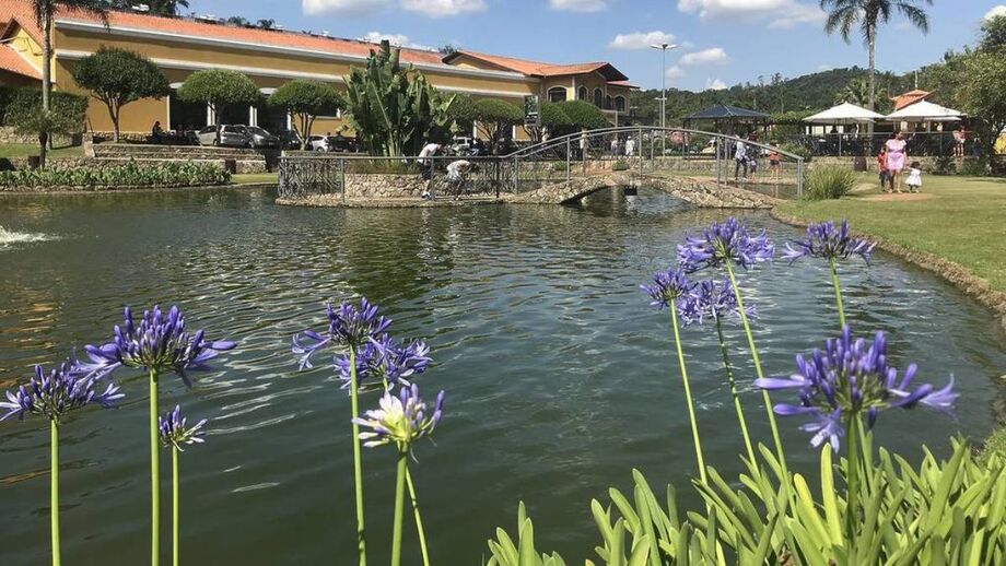 A Vinícola Góes ocupa o posto de segunda mais visitada de todo o país