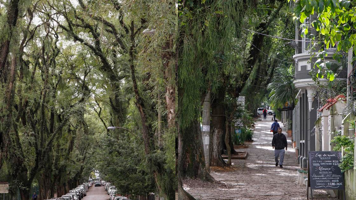 Em 2006, a Prefeitura de Porto Alegre declarou a Rua Gonçalo de Carvalho como Patrimônio Ambiental.