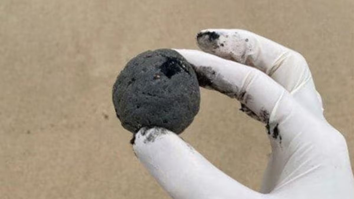 As 'bolinhas' encontradas em Sydney revelam um grave alerta sobre poluição e descarte inadequado de resíduos.