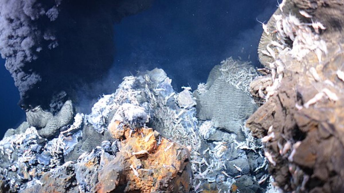 O fenômeno ocorre em profundidades abissais impressionantes