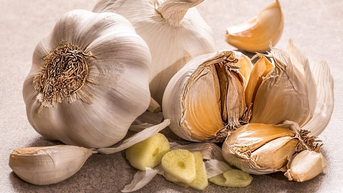 nclusive, Nerópolis já foi chamada de capital do alho dentro do estado goiano e chegou a se destacar também em âmbito nacional