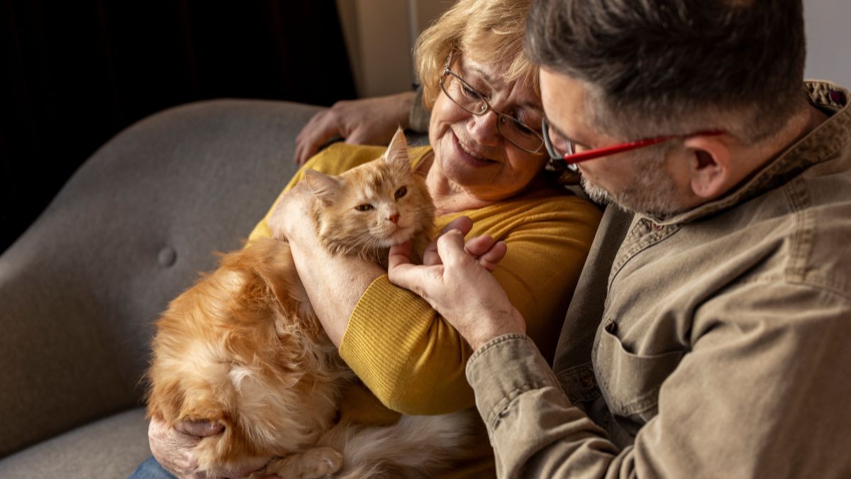 Estudo da Universidade de Lincoln revela que a escolha não é aleatória e está ligada à busca por um ambiente doméstico específico