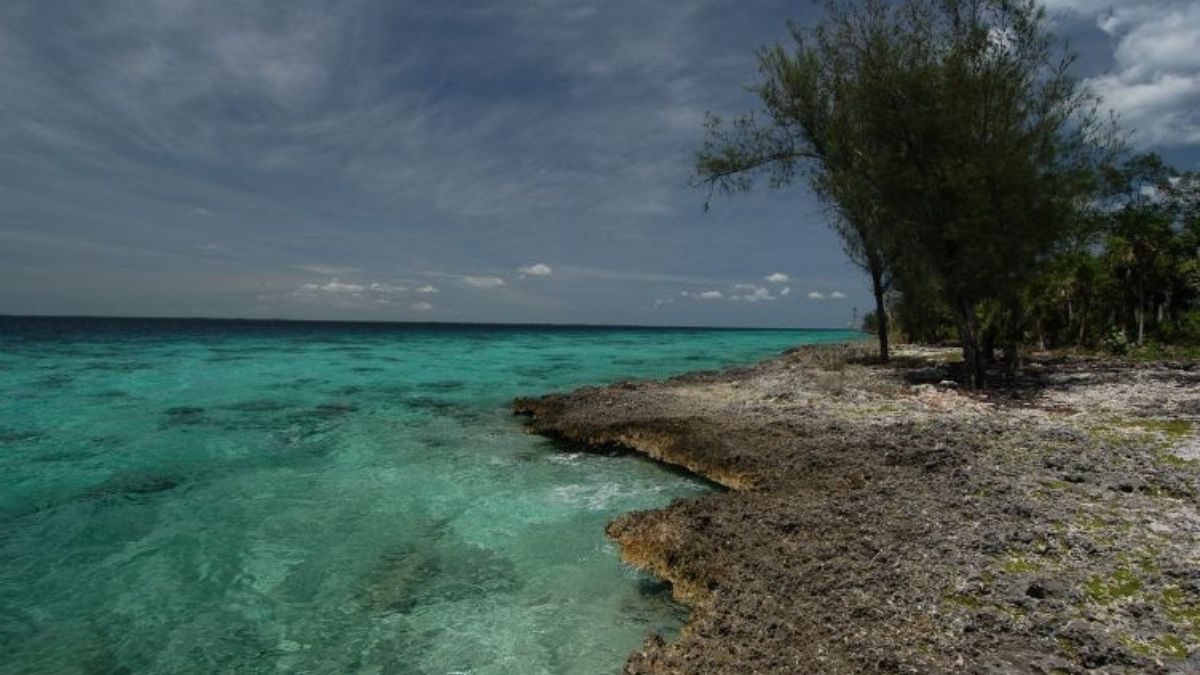 Geólogos e arqueólogos divergem sobre formações colossais no fundo do Caribe que permanecem intocadas desde 2001.