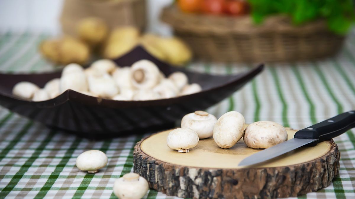 Mogi das Cruzes é responsável por cerca de 80% da produção nacional de cogumelos