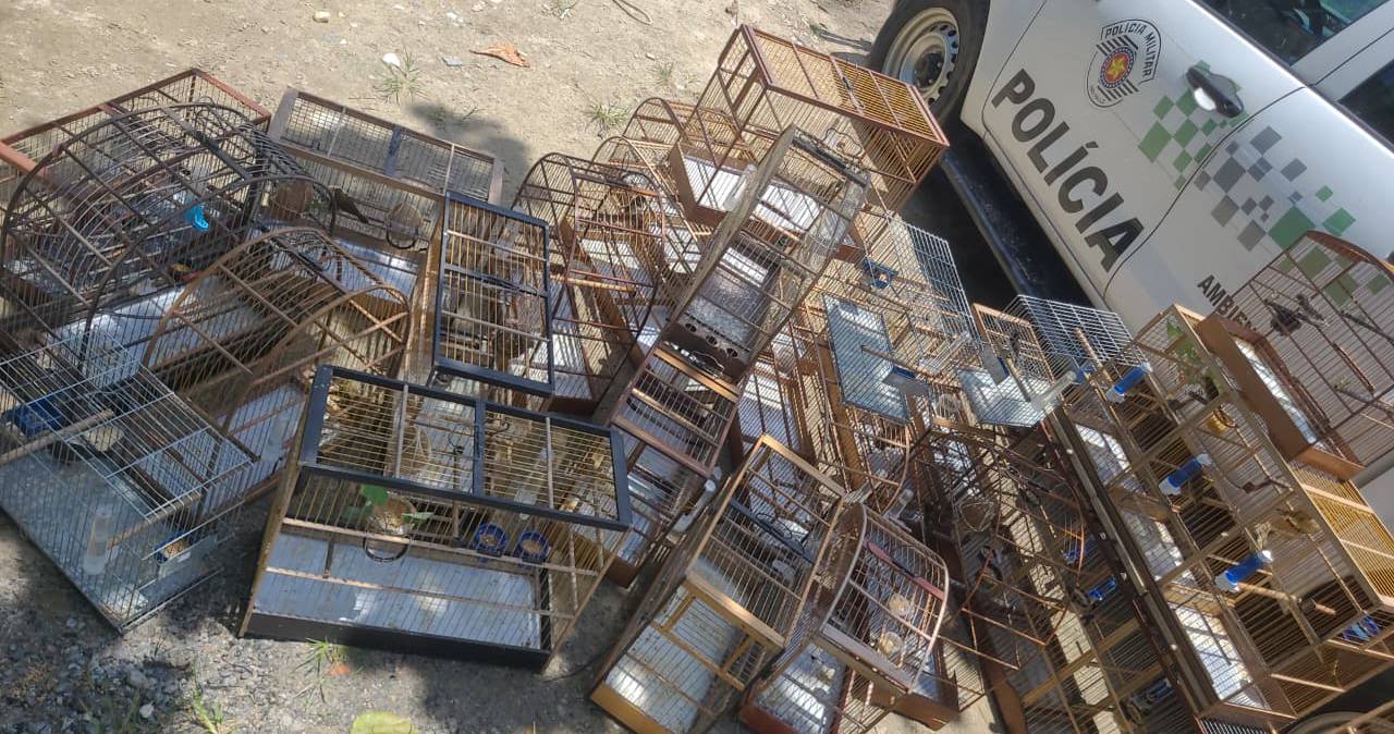 A ocorrência foi registrada durante patrulhamento no bairro Chácaras, no âmbito da Atividade Delegada Ambiental