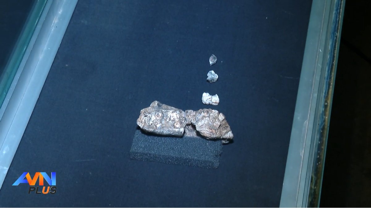 Espécie considerada limitada pode ter sido tão resiliente quanto o gênero Homo