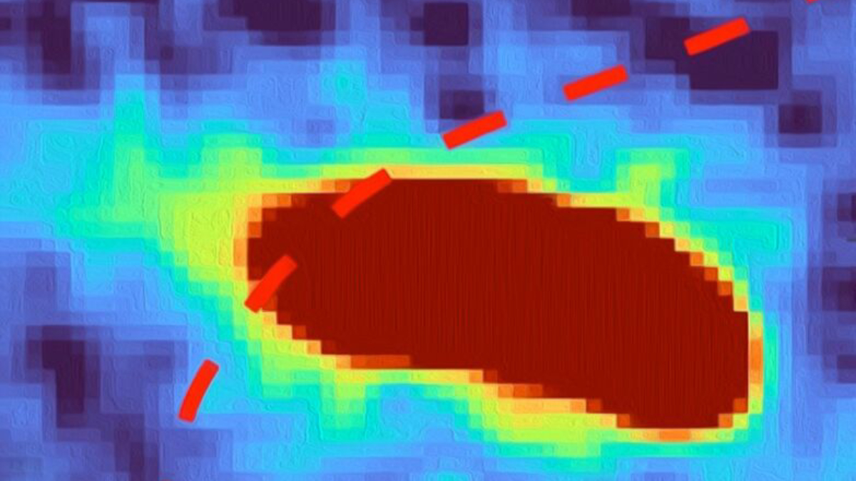 Compreender essa reação é fundamental para a medicina e a indústria