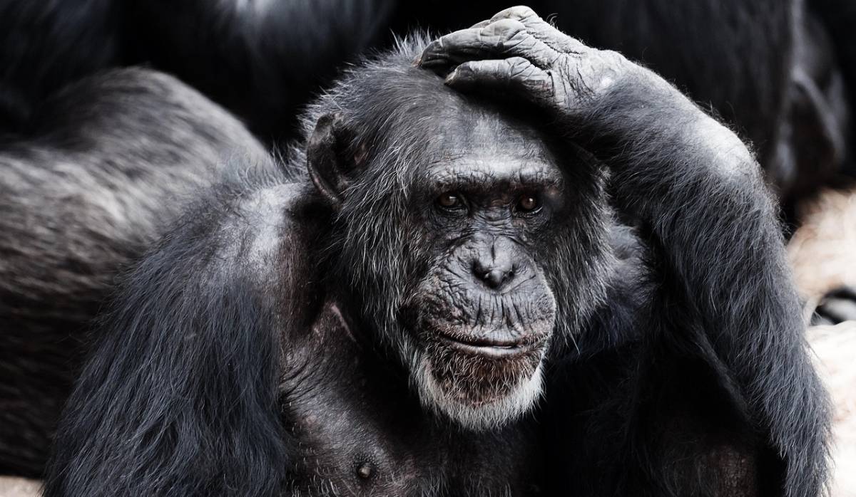 Imagem meramente ilustrativa